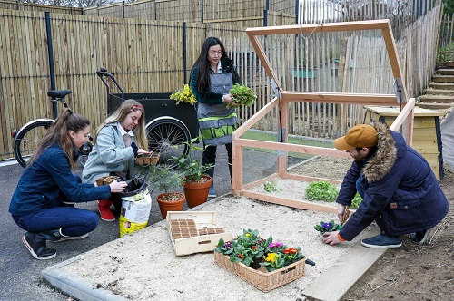 potager d'entreprise